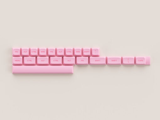AKKO Keycap set – Prunus Lannesiana (PBT Double-Shot/ASA Low profile/155 nút)