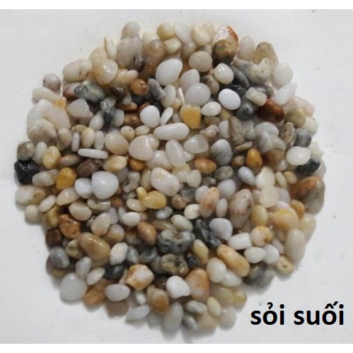 Sỏi trang trí bể cá 1kg