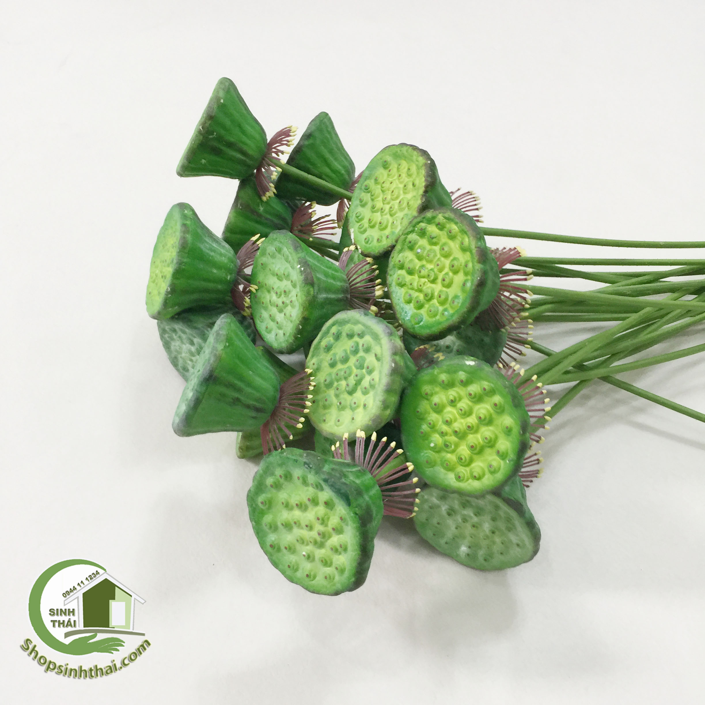 [HCM]Gương sen giả - gương sen cao cấp