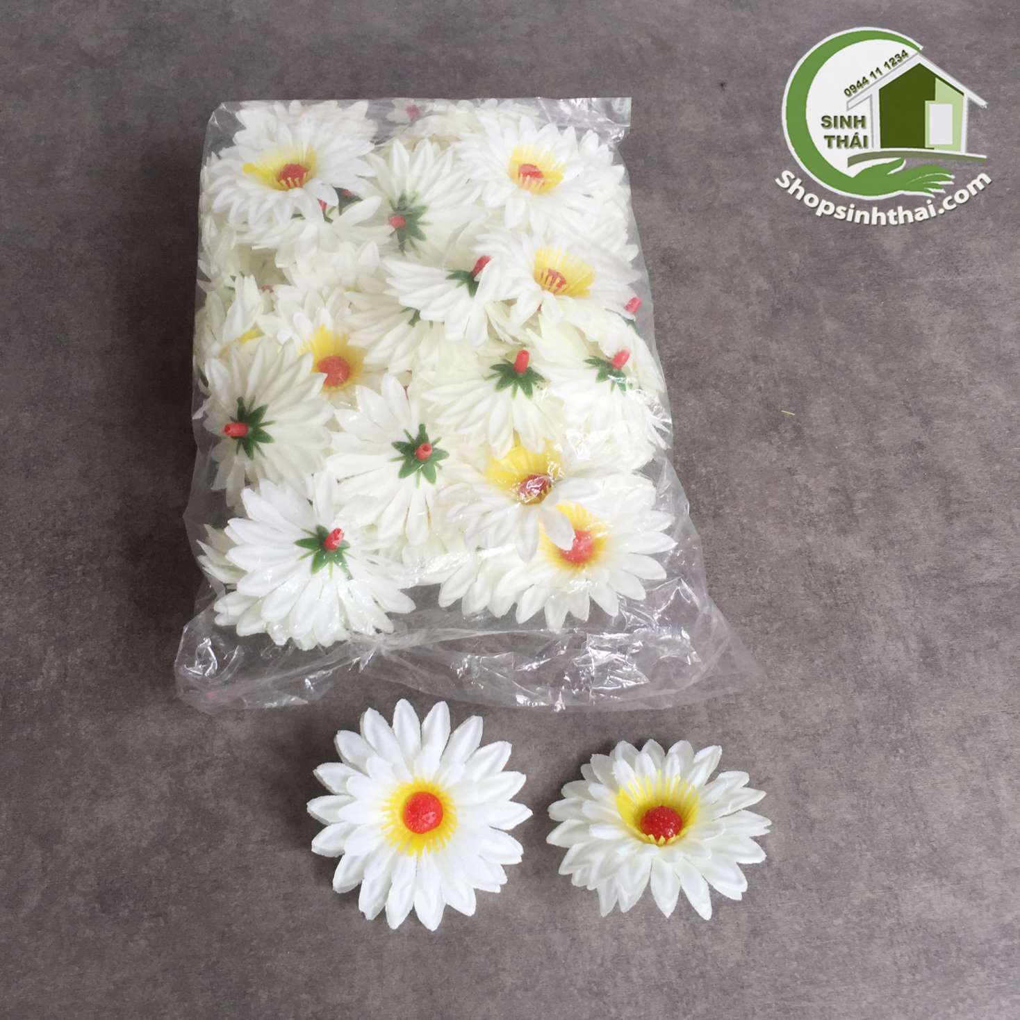 [HCM]Bịch hoa cúc trắng 25 bông