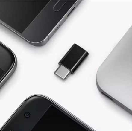 Đầu chuyển đổi chân Micro USB (Cái) sang Type C