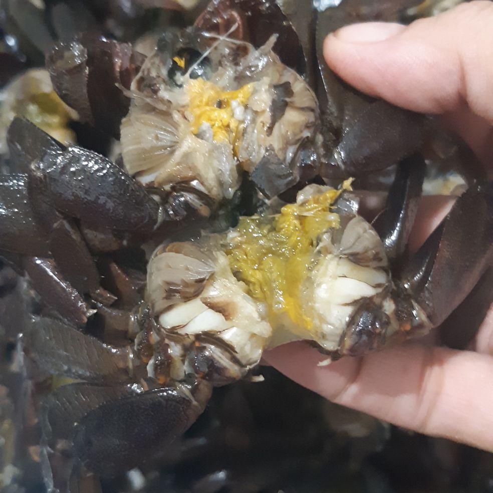 1kg Ba khía Trộn tắc đường