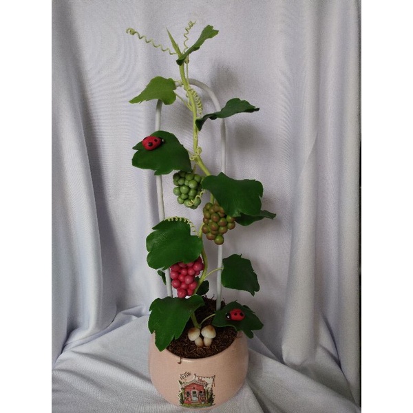 Chậu nho đất sét cao 42cm