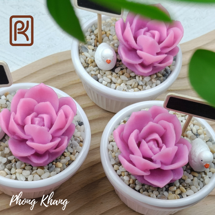 Khuôn silicon 4d Phong Khang làm rau câu sen đá