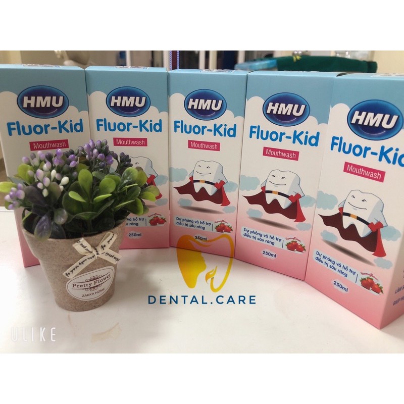 Combo 10 Chai Nước Súc Miệng HMU Fluor Kid Dành Cho Trẻ Em ( Sản phẩm của Đại học Y Hà Nội)