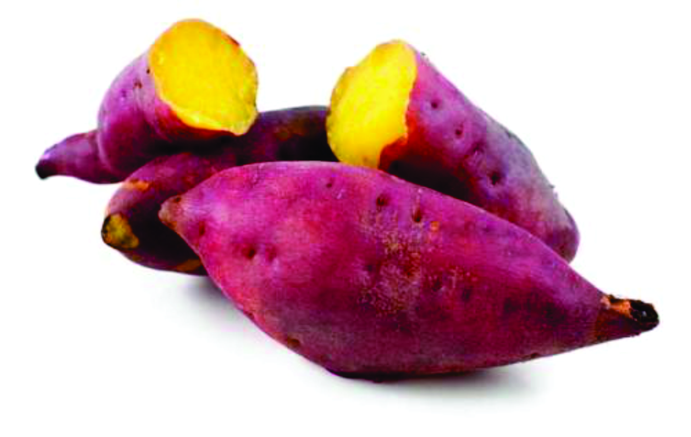 Mồi khoai lang Ủ câu cá chép, trôi - Mè - 1Kg
