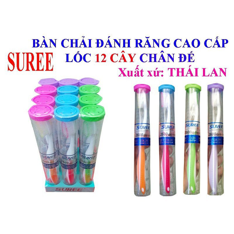 Bàn chải đánh răng Freshly