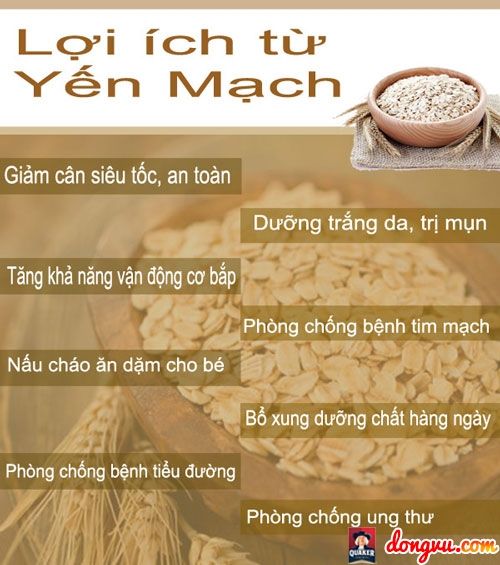 [HCM]Bột Yến Mạch Nguyên Chất Handmade (50G~100G)