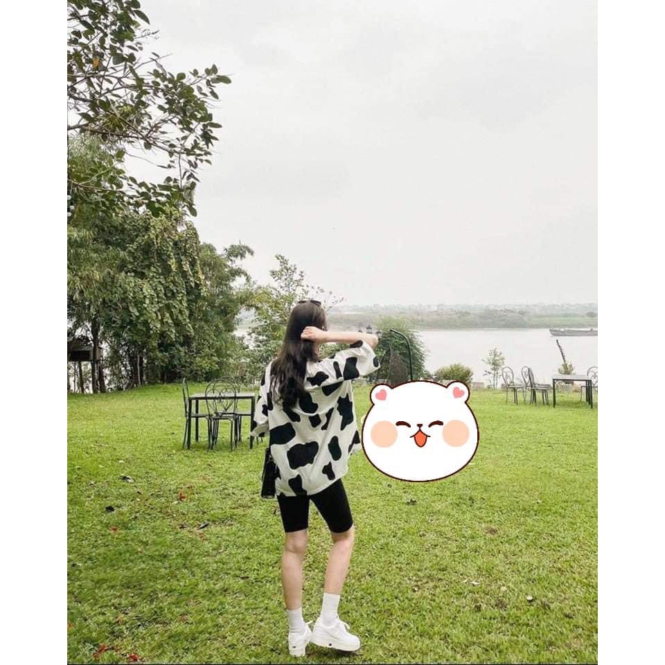 Sét áo phông bò sữa + quần legging ngố