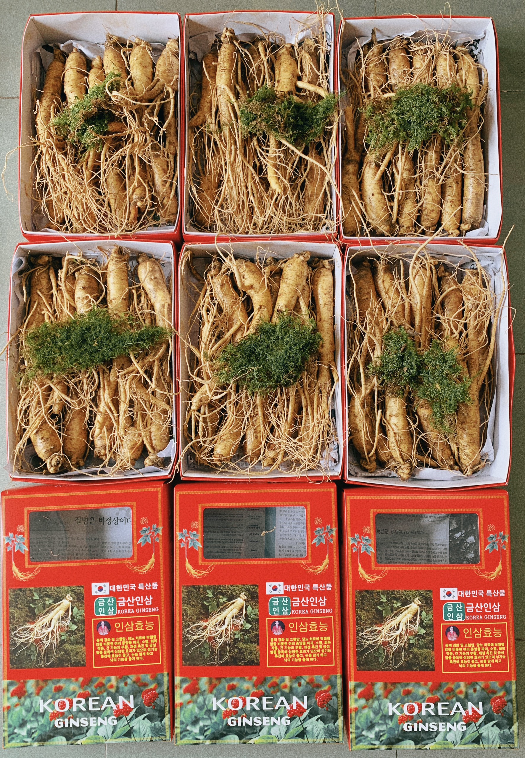 [Toàn Quốc] 185.000/1 củ size sâm 10-11 củ/kg Nhân sâm tươi Hàn Quốc