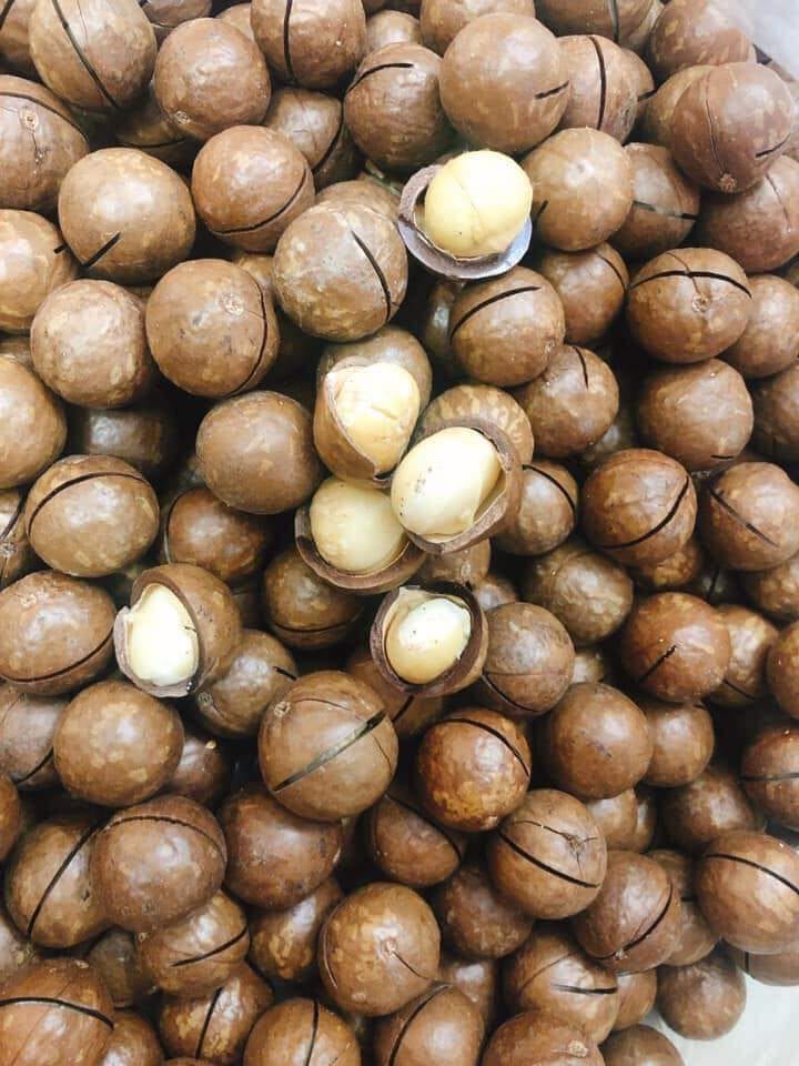 Hạt Macca Úc - 500G