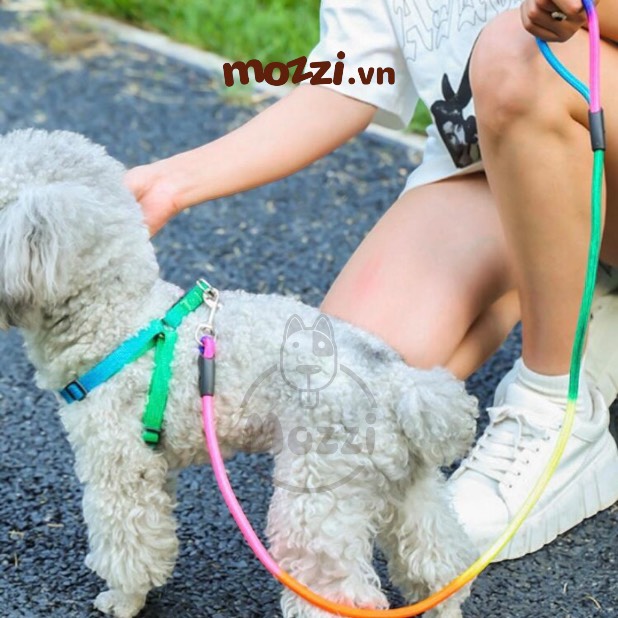 Dây dắt yếm ngực dáng tròn 7 màu cho thú cưng