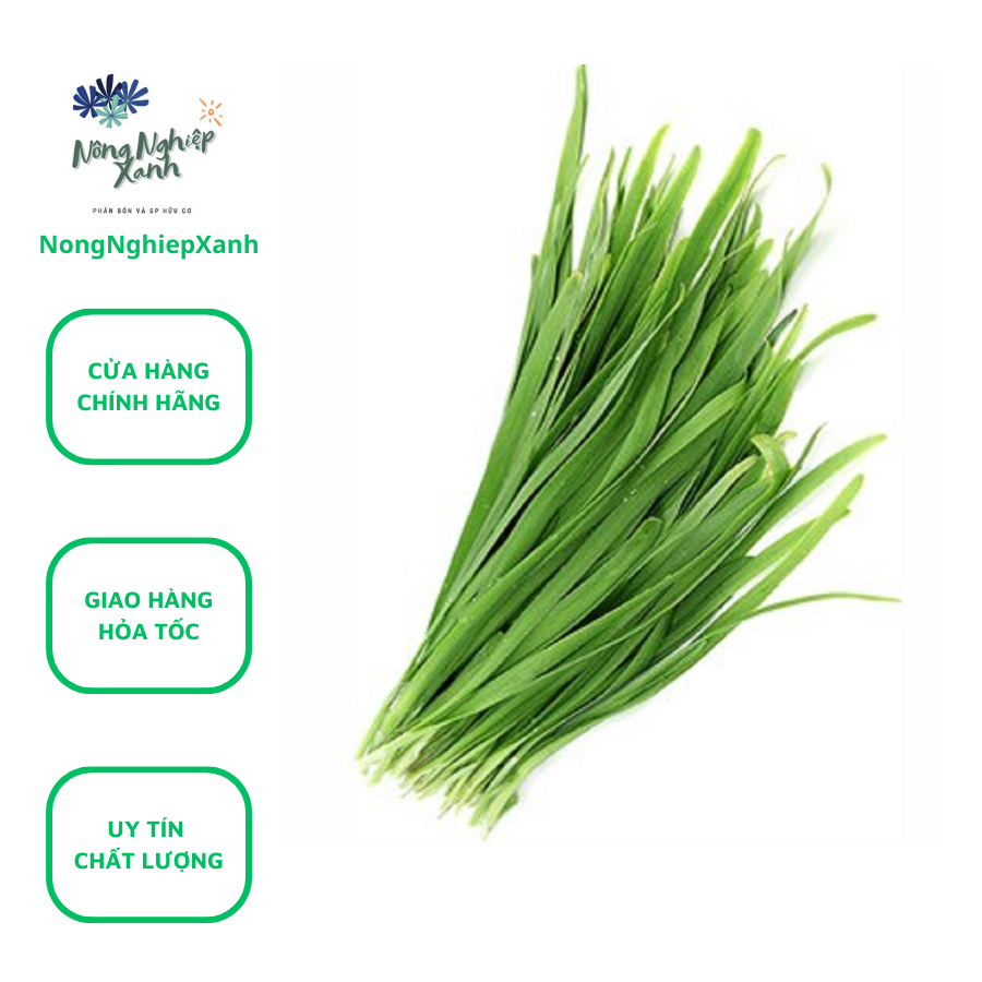 Behogar leaf beater seeds pack 1G-hat giong la Sach nongghiepblue