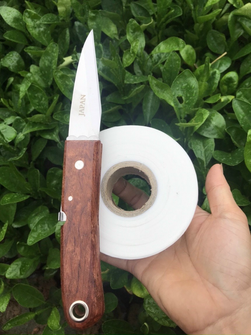 Dao ghép cây và giấy ghép tự hủy