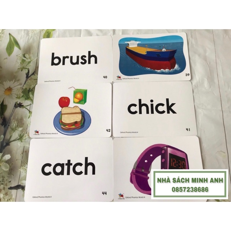 Flashcard OXFORD PHONICS WORLD 4-96 thẻ (khổ A5-cán bóng/ép plastic)