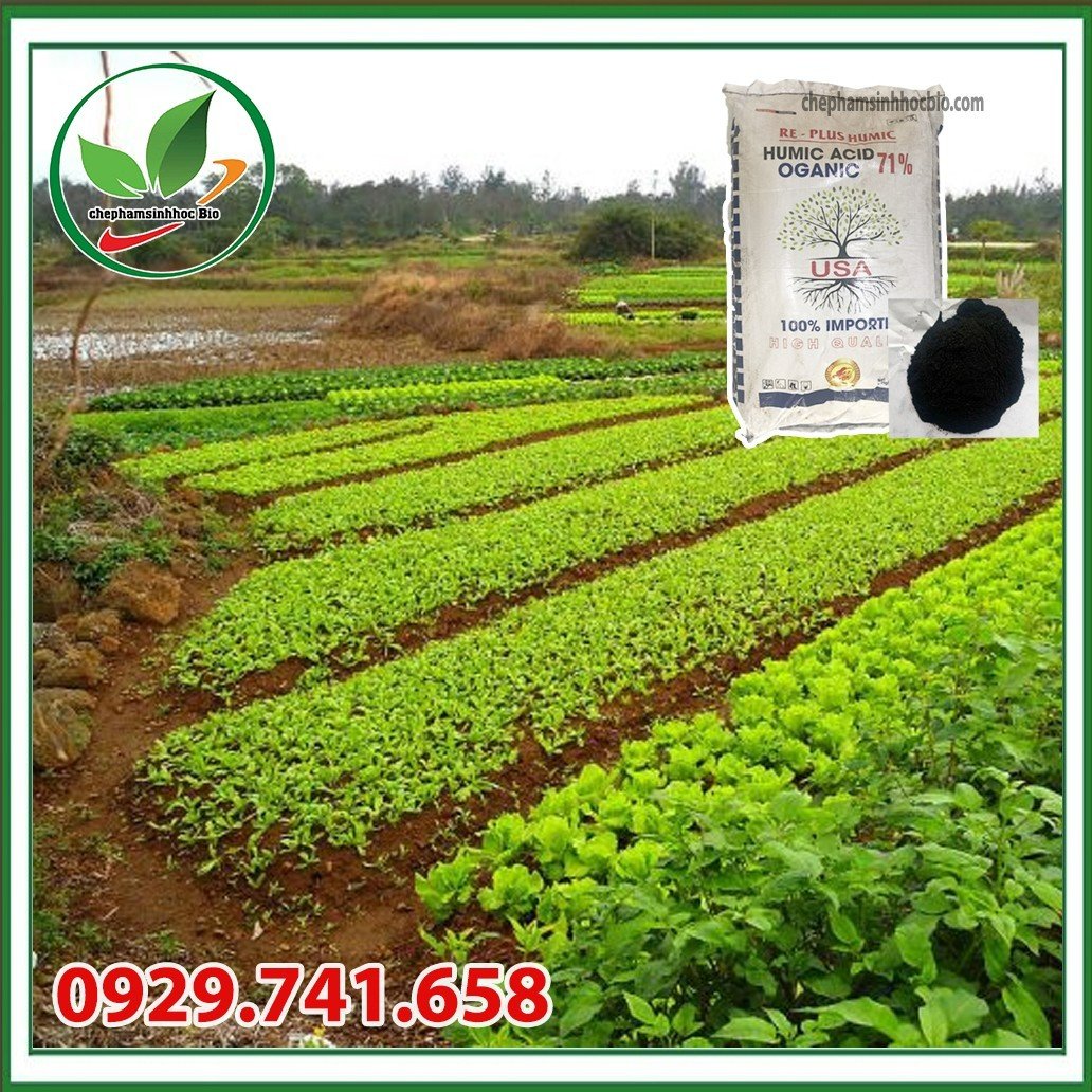 Phân bón HUMIC dạng bột. Bao 20kg