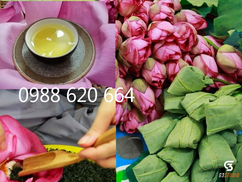 Trà Ướp Sen Tây Hồ 3 búp sấy thăng hoa Công nghệ Đức