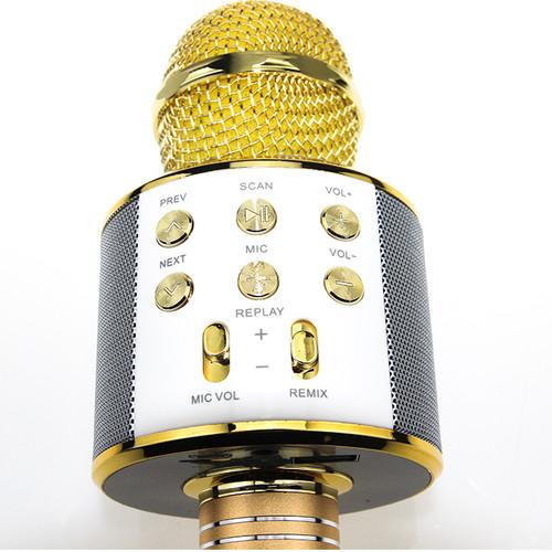 [HCM]Mic karaoke - Mic karaoke - Mic karaoke 858