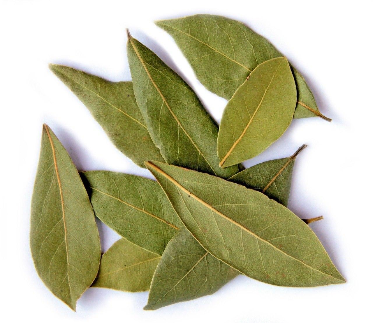 Lá Nguyệt Quế - Bay leaves Whole 500g