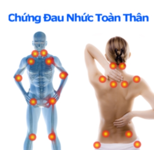 TÚI CHƯỜM NÓNG THẢO DƯỢC TÂM AN