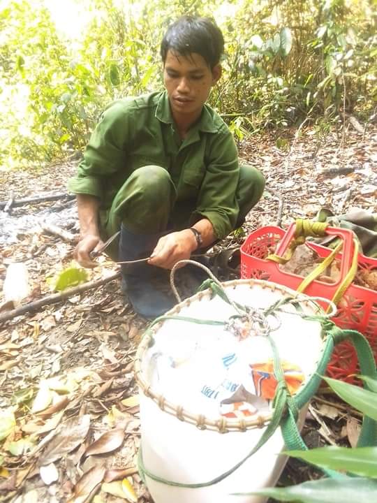 MẬT ONG RỪNG NGUYÊN CHẤT (RỪNG QUỐC GIA KONKAKING GIA LAI)
