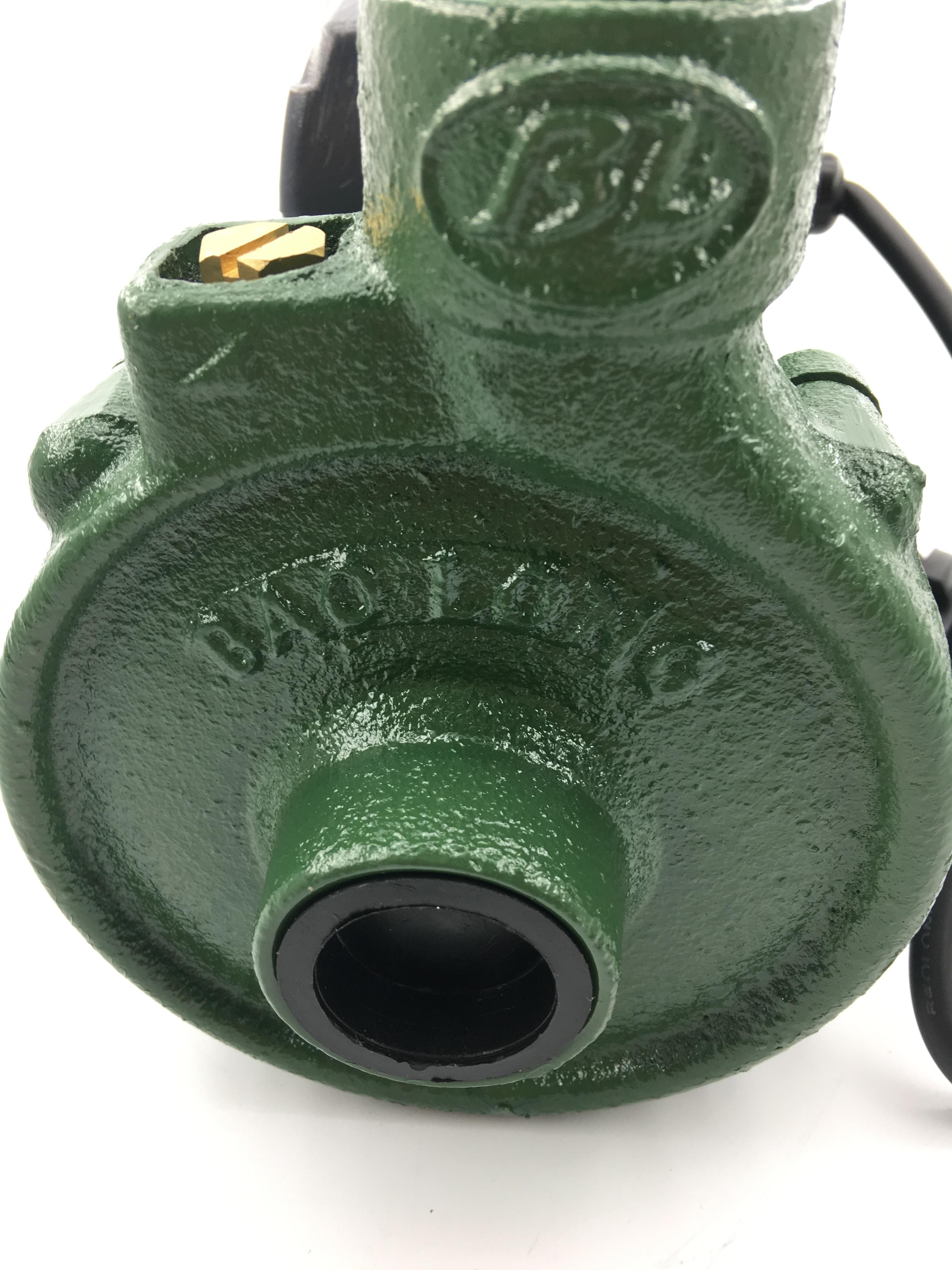 Máy bơm nước Bảo Long 370L1 1DK-15