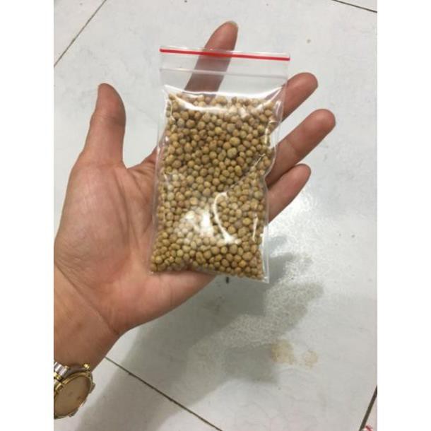 Phân tan chậm cho xương rồng, sen đá, hoa lan và