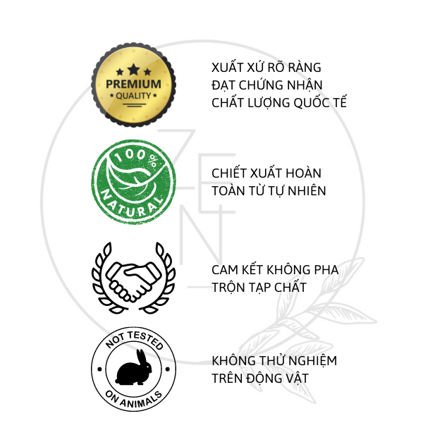 Tinh dầu thơm dây treo mùi Ngọc Lan Tây 8ml
