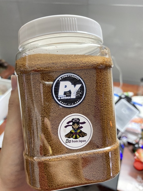 🐠 Cám Nhật B2(100 GRAM)