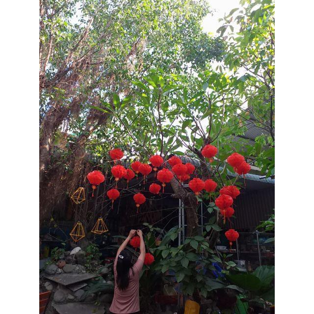 10 Lồng Đèn Đỏ Chữ Phúc