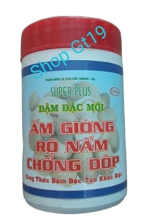 Làm ấm giống nấm rơm