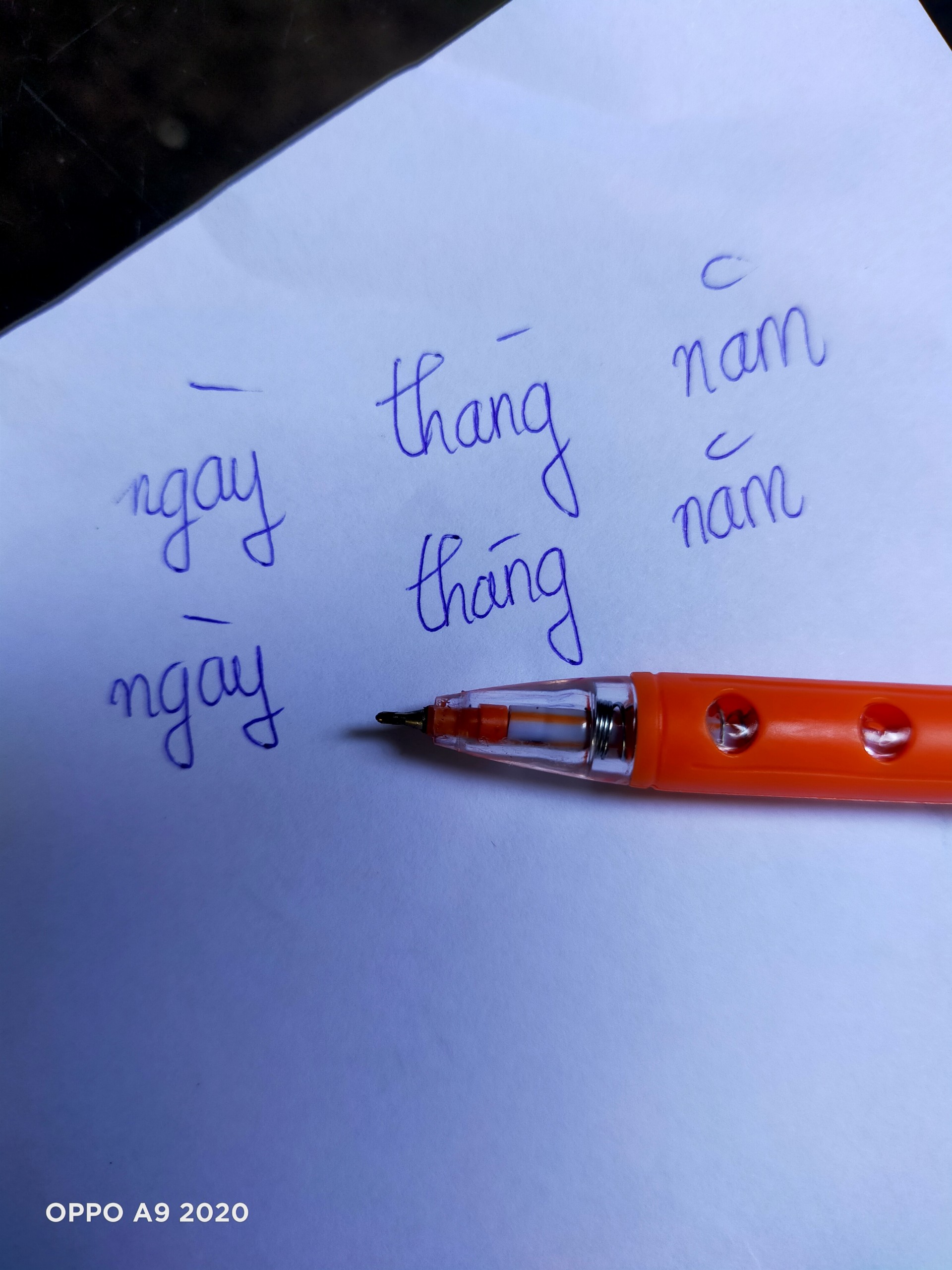 Combo 5 cây bút bi R1 Thái lan (mực xanh)