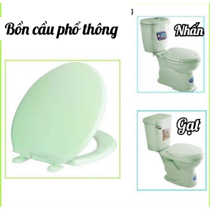Nắp bồn cầu xanh ngọc