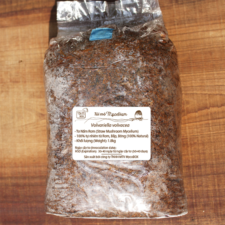 MycoBOX Straw Mushroom Spawn 2kg