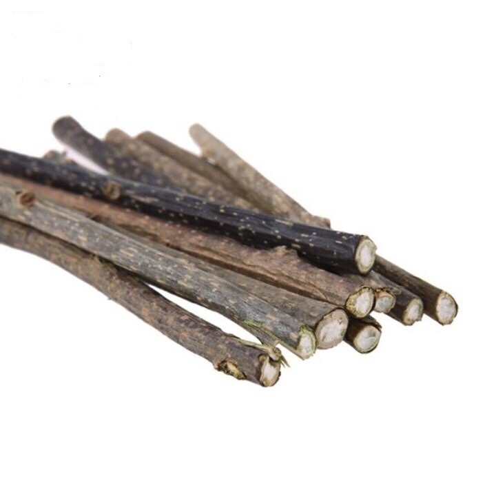 2 Cây Gỗ Catnip Bạc Hà Cho Mèo Gặm Trắng Răng