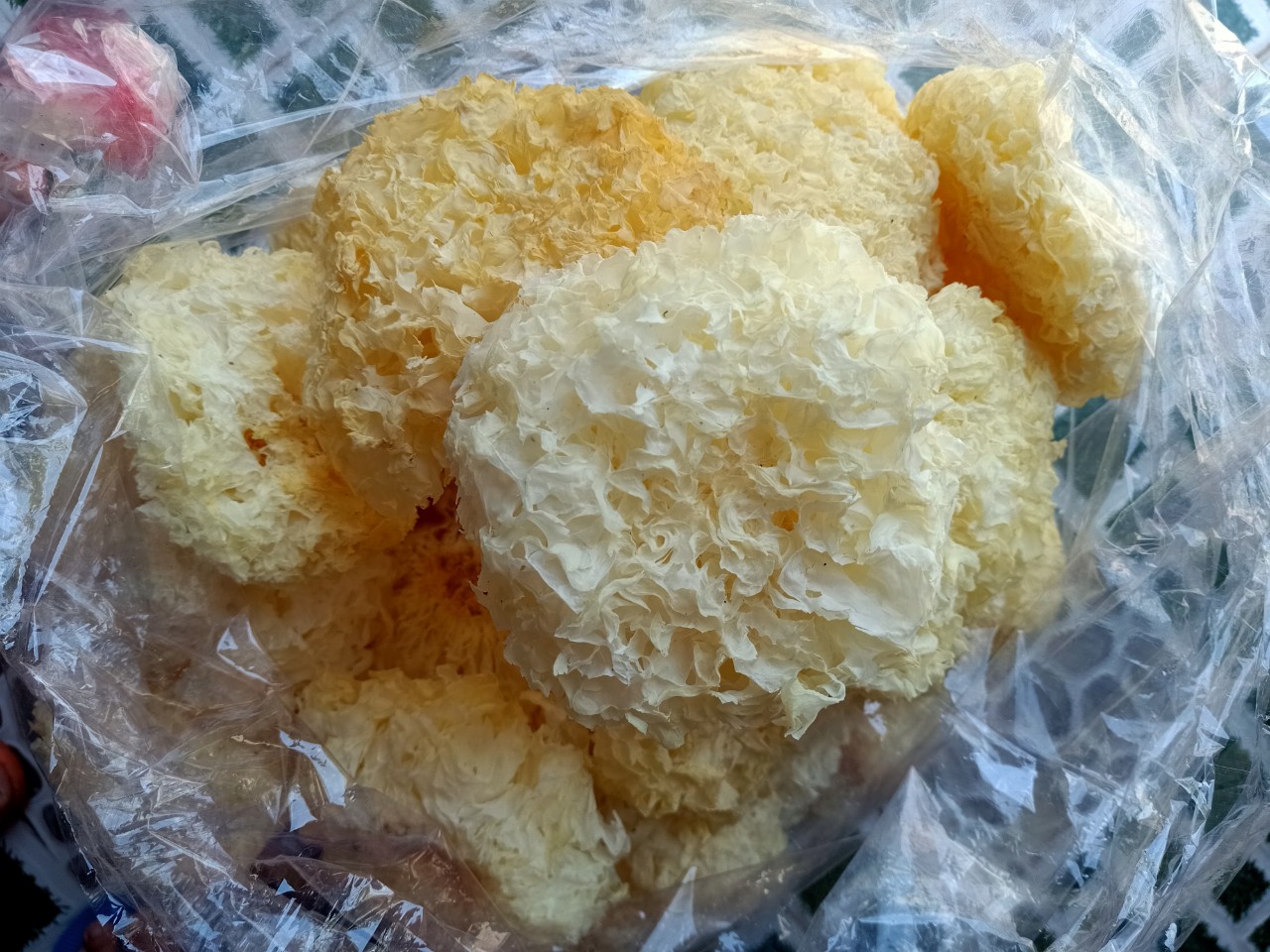 1 bông nấm tuyết