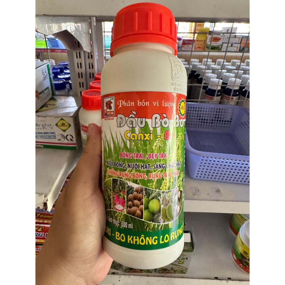 Đầu bò bo 500ml