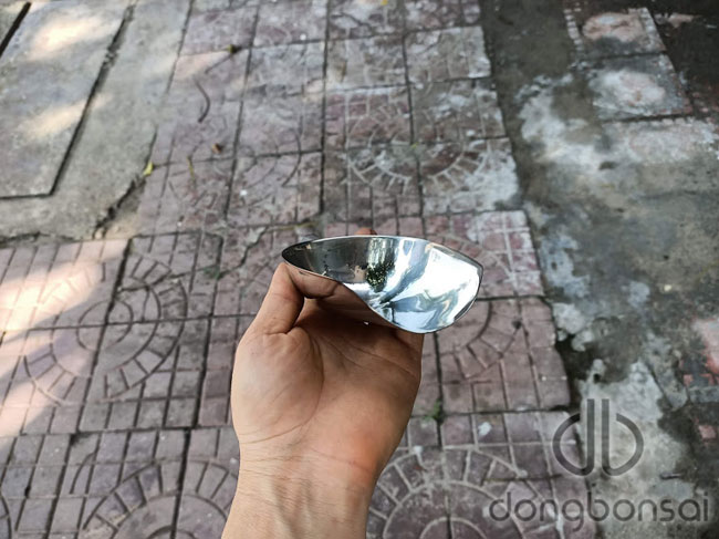 Muỗng xúc đất thay chậu chất liệu inox size 12cm