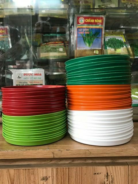 dĩa lót chậu trồng cây đk 22cm