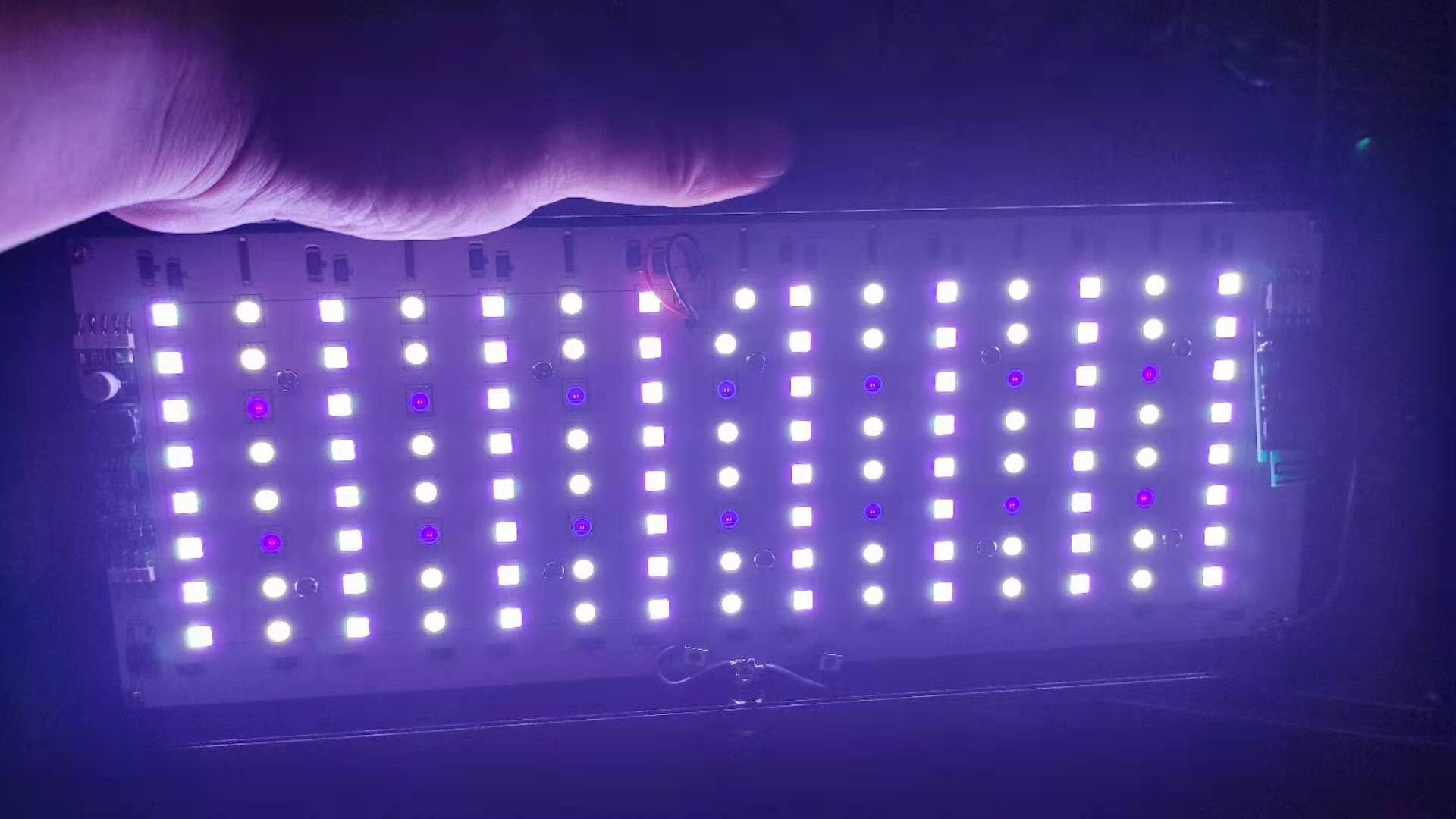 [HCM]Đèn Led Thủy Sinh WRGBU SkyLed tank