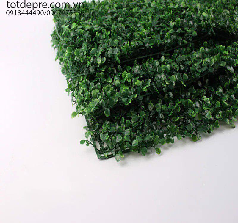 Thảm cỏ xoong nhân tạo 60x40cm