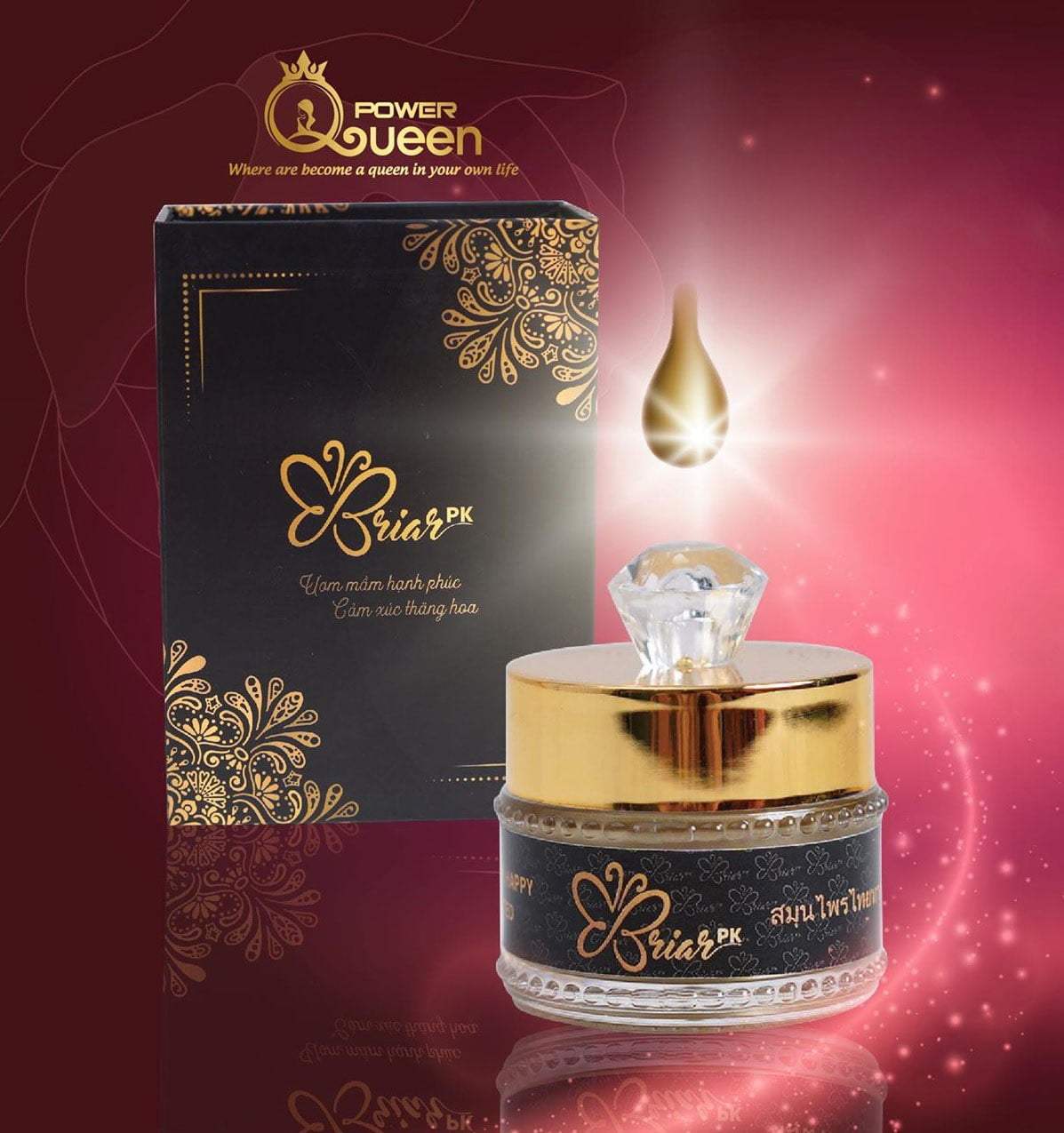 viên đặt xe khít briar (hộp 10 viên-che tên sản phẩm)