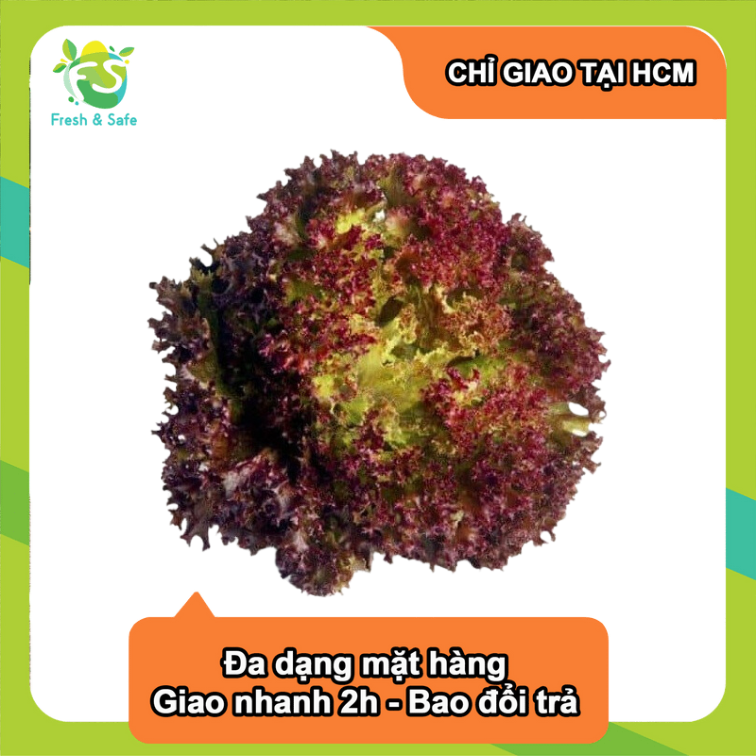 [Chỉ Giao HCM] Xà Lách Lolo Tím - 300g