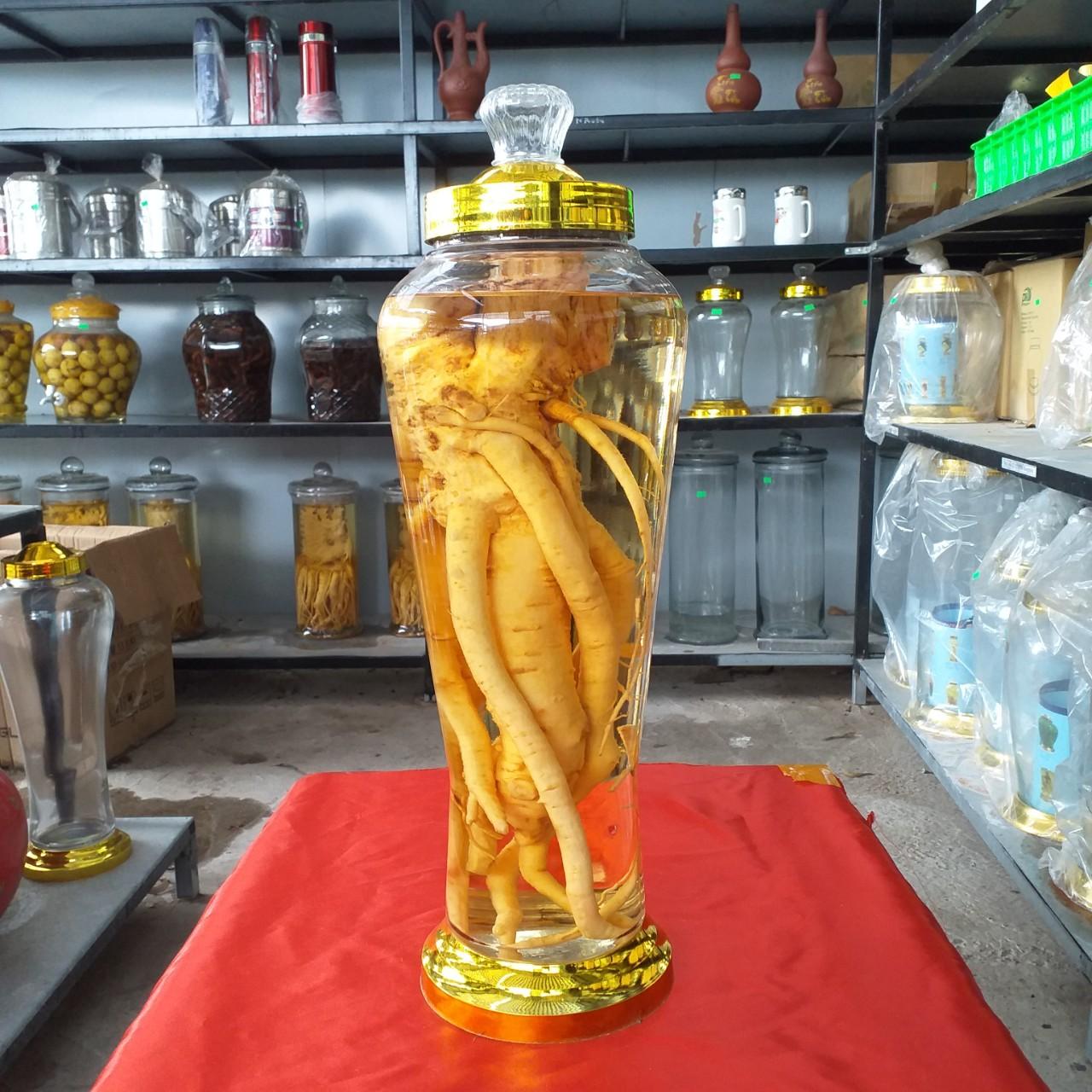 BÌNH NGÂM RƯỢU SÂM, ĐINH LĂNG, HOA QUẢ THỦY TINH 7 LÍT