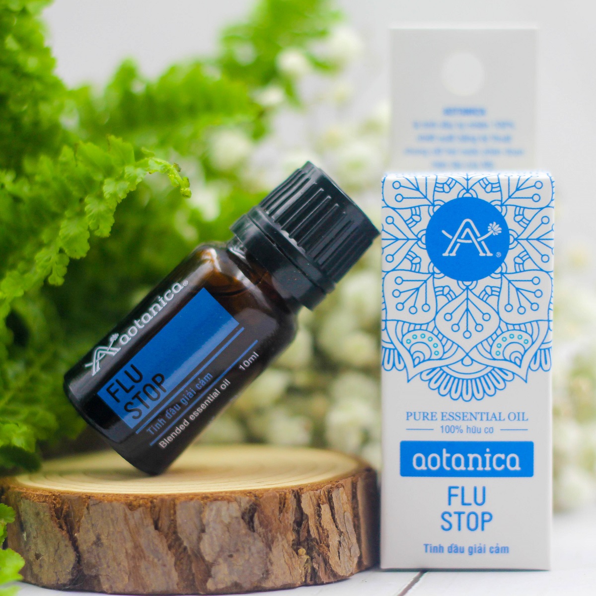 Tinh dầu giải cảm phân đoạn Aotanica