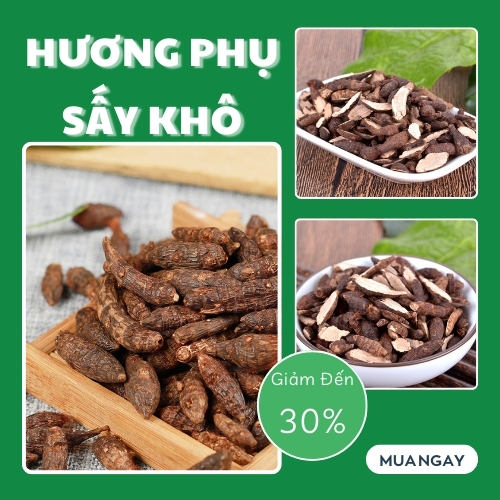 [Hàng mới về] Hương phụ khô 500g (Thơm, Sạch) , Cỏ gấu khô - Hỗ trợ cải thiện sức khoẻ cực kỳ hiệu quả