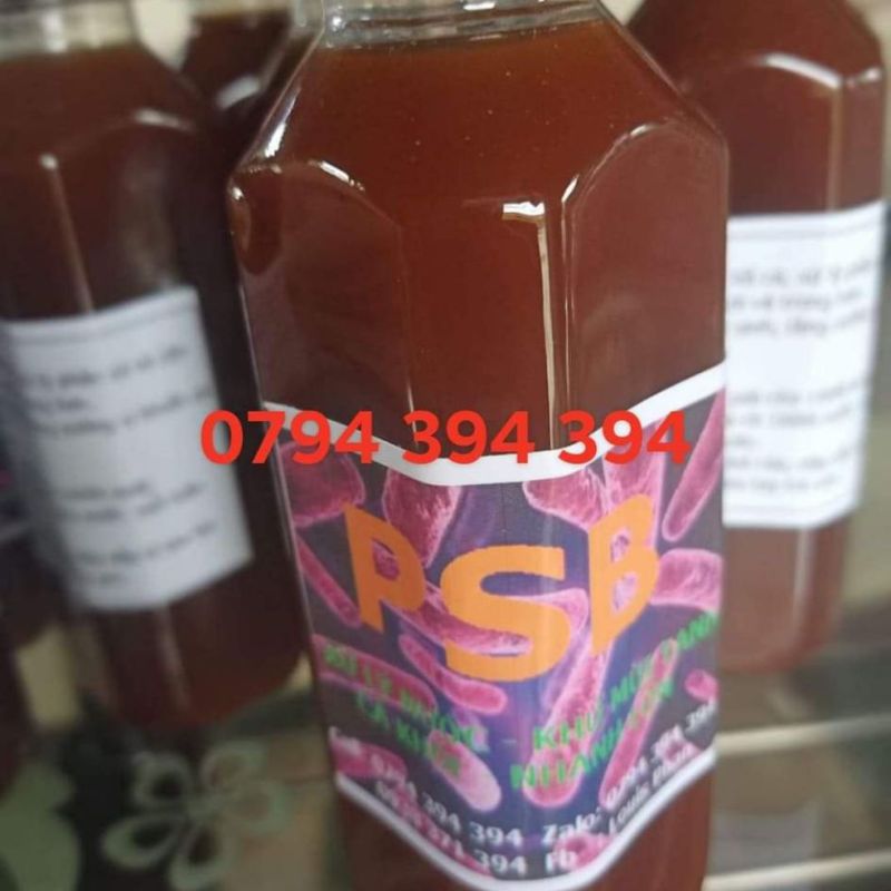 Vi sinh PSB, Vi sinh quang hợp làm trong nước