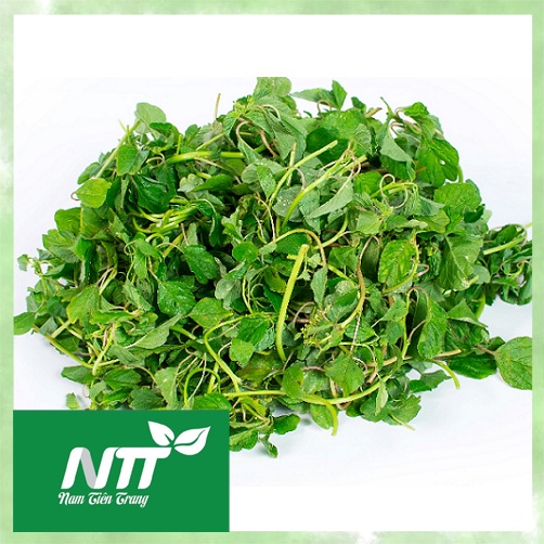 Hạt giống rau Dền Thuận Nông TN 20g >90% quanh năm chất lượng cao