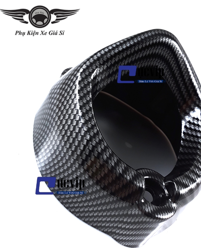 Chụp Đích Pô Carbon Exciter 150 MS1485