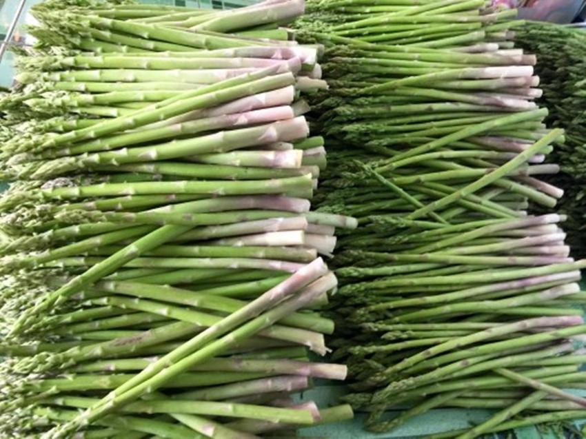 10 Hạt giống Măng tây xanh